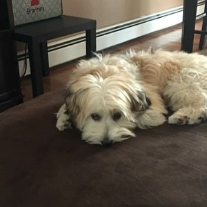 Meet your Posher, Marco